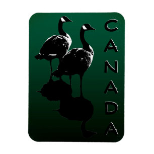 Imán Canadá Goose Magnet Canada Souvenir Fridge Magnets