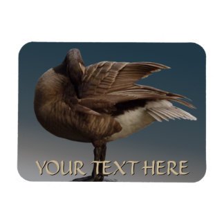 Imán Canadá Goose Magnet Canada Souvenir Fridge Magnets