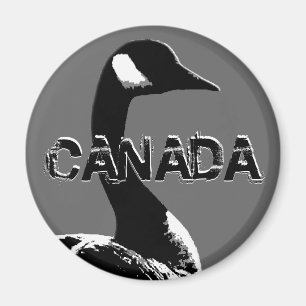 Imán Canadá Goose Magnet Canada Souvenir Fridge Magnets