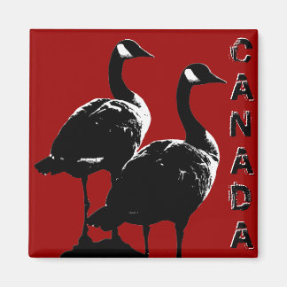 Imán Canadá Goose Magnet Canada Souvenir Fridge Magnets