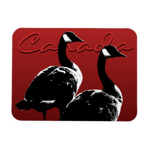 Imán Canadá Goose Magnet Canada Souvenir Fridge Magnets