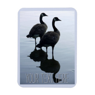 Imán Canadá Goose Magnet Canada Souvenir Fridge Magnets