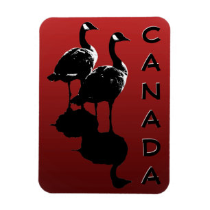 Imán Canadá Goose Magnet Canada Souvenir Fridge Magnets