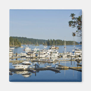 Imán Canadá, Islas del Golfo, Islas Salt Spring,