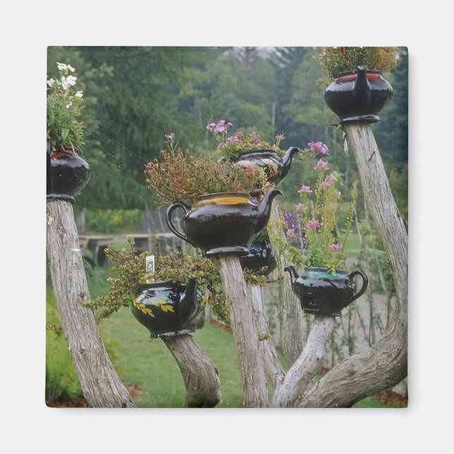 Imán Canadá, Nueva Brunswick, St Andrews. Teteras (Frente)