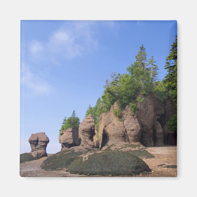 Imán Canadá, Nuevo Brunswick, Hopewell Cape, Bahía de (Frente)