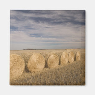 Imán Canadá, Saskatchewan, Craik: Rodillos de heno / Ot