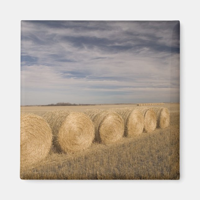 Imán Canadá, Saskatchewan, Craik: Rodillos de heno / Ot (Frente)