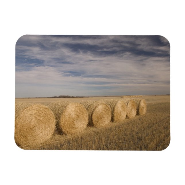 Imán Canadá, Saskatchewan, Craik: Rollos de heno / Otoñ (Horizontal)