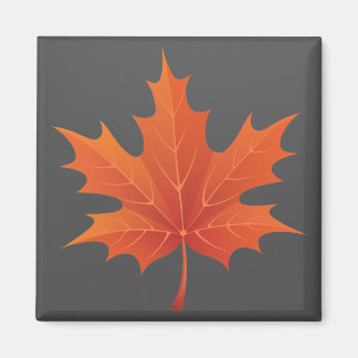 Imán Canadiense