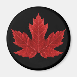 Imán canadiense rojo de la hoja de arce