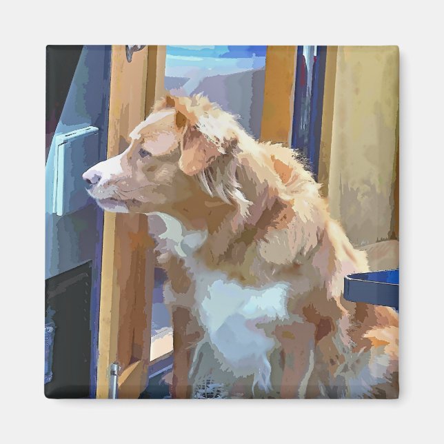 IMÁN CANALES (Frente)