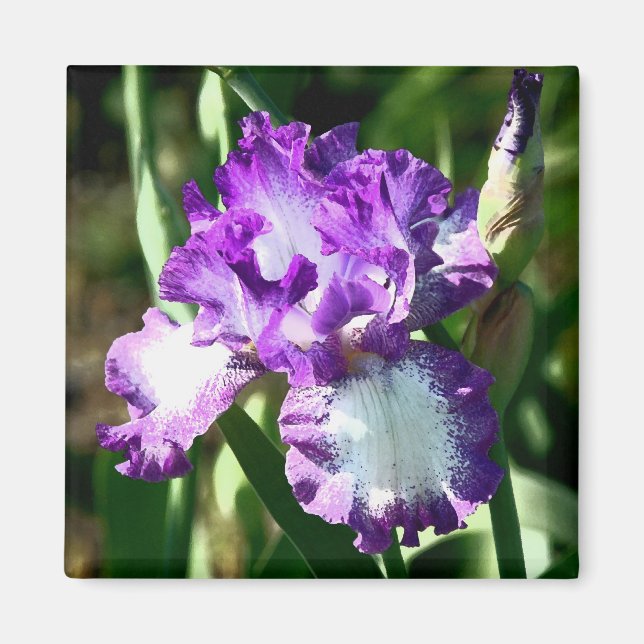 Imán Canción de Jessie (Frente)