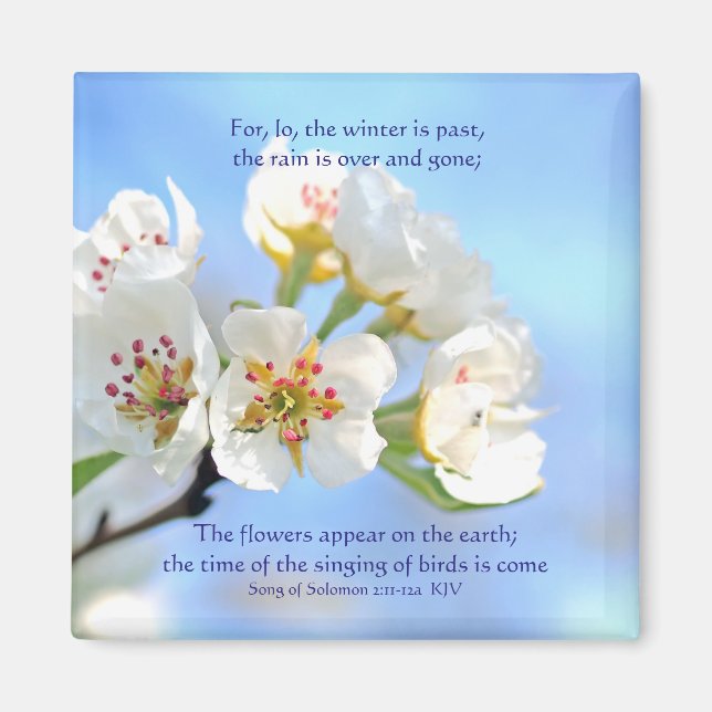 Imán Canción de Salomón 2:11-12a Aparecen las flores (Frente)