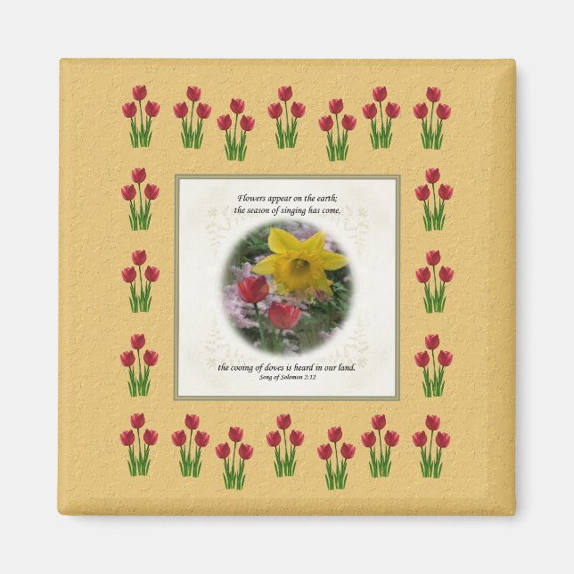 Imán Canción de Salomón 2:12 (Frente)