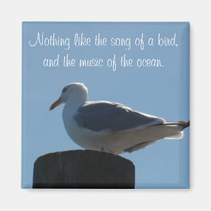 Imán Canción de un Pájaro, Música de la Gaviota del Océ