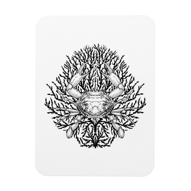 Imán Cangrejo (Vertical)