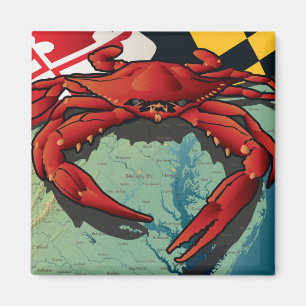 Imán Cangrejo del ciudadano de Maryland
