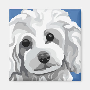 Imán Caniche blanco