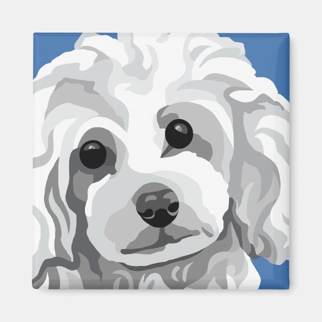 Imán Caniche blanco (Frente)
