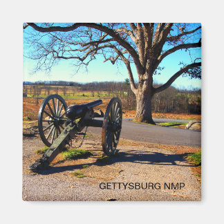 IMÁN CANNON Y TESTIGO DE ÁRBOL EN DEVILS DEN