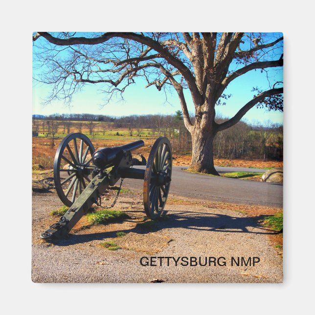 IMÁN CANNON Y TESTIGO DE ÁRBOL EN DEVILS DEN (Frente)