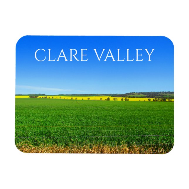 Imán canola fields clare valley (Horizontal)