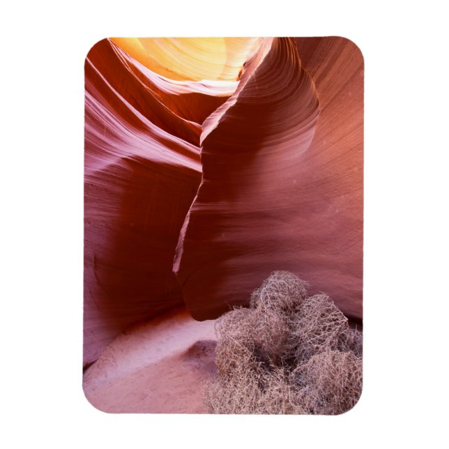 Imán Cañón de muchos colores (Vertical)