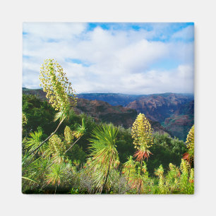 Imán Cañón de Waimea Kauai, Hawái