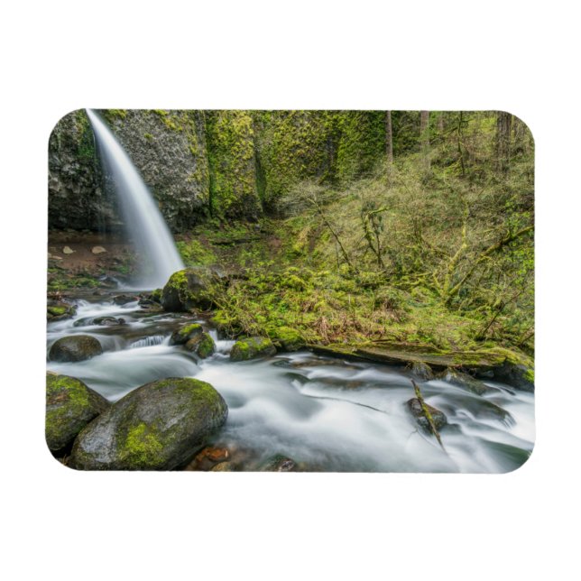 Imán Cañón del río Columbia, cascadas Ponytail (Horizontal)