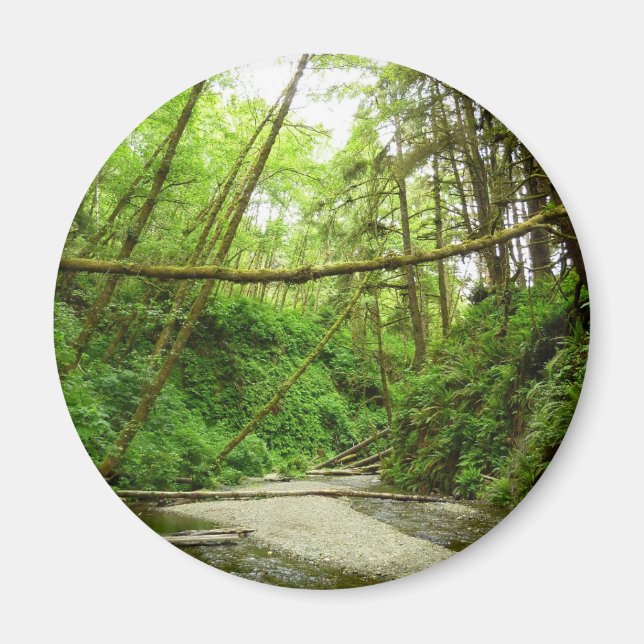 Imán Cañón Fern I en el Parque Nacional Redwood (Frente)