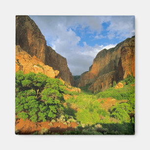 Imán Cañón Kolob en Zion Canyon en Zion National