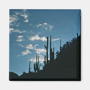 Imán Cañón Sabino, Arizona