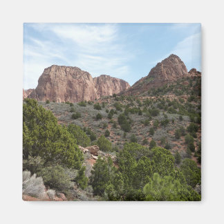 Imán Cañones de Kolob en el Parque Nacional Zion