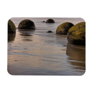 Imán Cañones de Moeraki en la playa