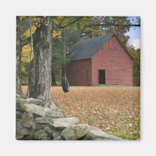 Imán Canse el oscilación a lo largo de un camino en