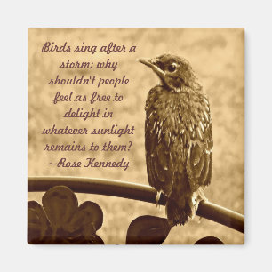 Imán Cantando después de la tormenta