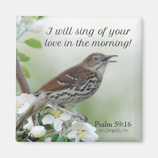 Imán ¡Cantaré tu amor!