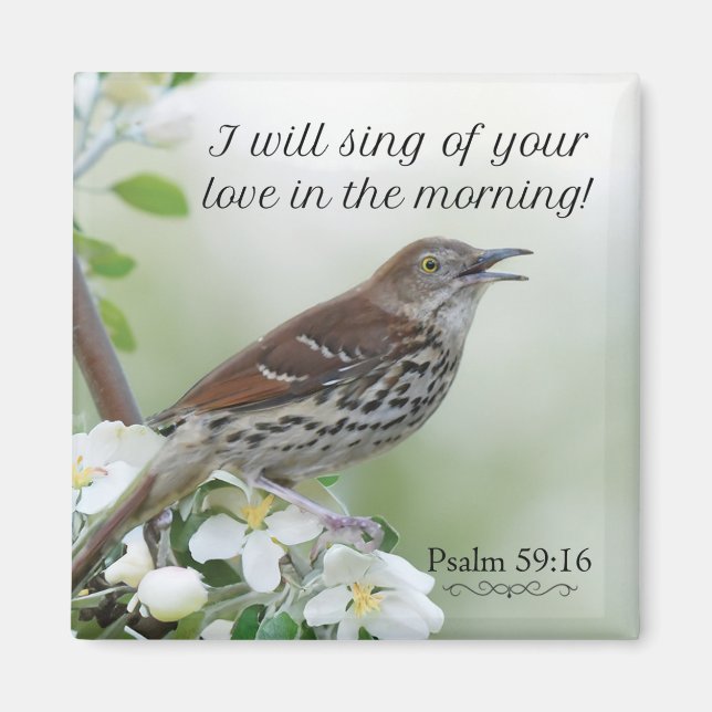 Imán ¡Cantaré tu amor! (Frente)