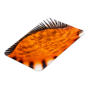 Imán Capa de agua de mar