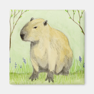 Imán Capibara