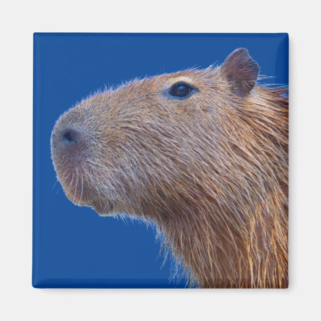 Imán Capibara (Frente)