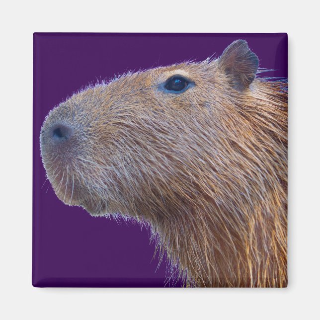 Imán Capibara (Frente)