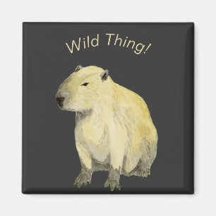Imán Capibara
