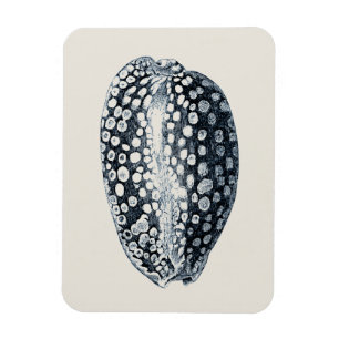 Imán Capilla de añil