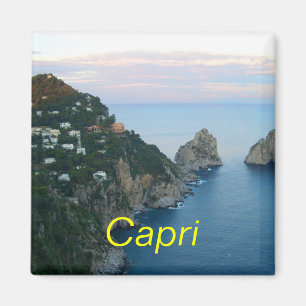 Imán Capri imnet