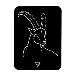 Imán Capricorn
