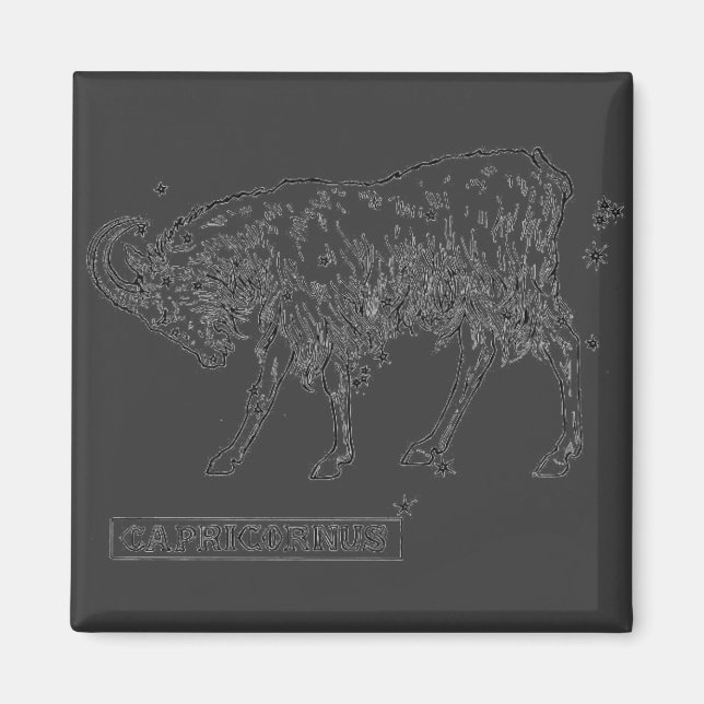 Imán Capricorn Magnet (Frente)
