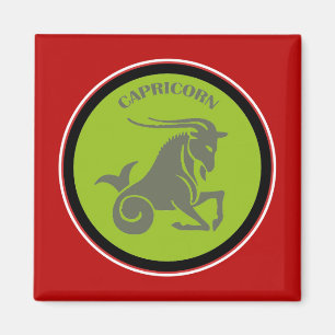 Imán Capricorn Magnet