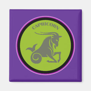 Imán Capricorn Magnet